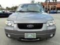 2007 Tungsten Grey Metallic Ford Escape XLT V6  photo #15