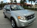 Ingot Silver Metallic - Escape XLT Photo No. 1