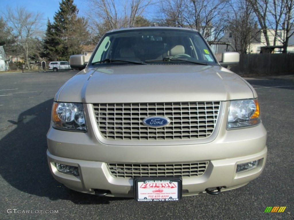 2006 Expedition Limited 4x4 - Pueblo Gold Metallic / Medium Parchment photo #11