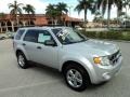 Ingot Silver Metallic - Escape XLT Photo No. 2