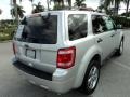 Ingot Silver Metallic - Escape XLT Photo No. 6