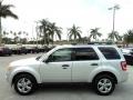 Ingot Silver Metallic - Escape XLT Photo No. 12