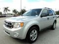 Ingot Silver Metallic - Escape XLT Photo No. 13