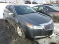 2010 Polished Metal Metallic Acura TL 3.5  photo #1