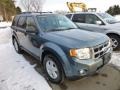 2010 Steel Blue Metallic Ford Escape XLT  photo #1