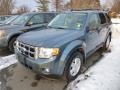 2010 Steel Blue Metallic Ford Escape XLT  photo #3