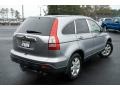 2008 Whistler Silver Metallic Honda CR-V EX-L  photo #5