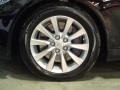 Obsidian Black - LS 460 AWD Photo No. 11