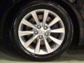 Obsidian Black - LS 460 AWD Photo No. 14