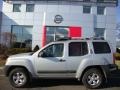 Silver Lightning - Xterra S 4x4 Photo No. 2
