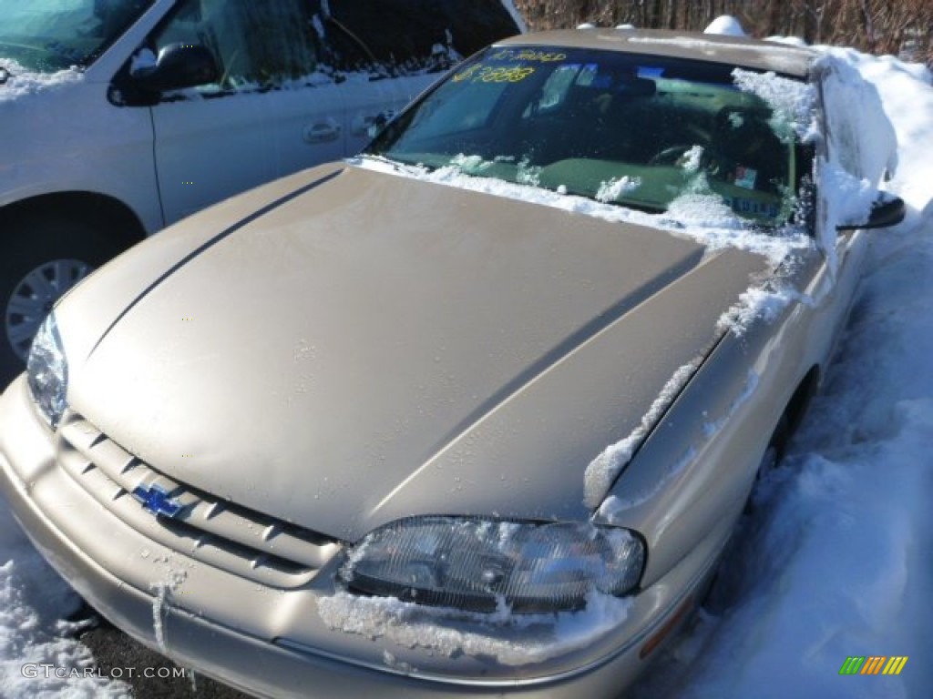 1998 Lumina  - Light Driftwood Metallic / Neutral photo #3