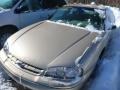 1998 Light Driftwood Metallic Chevrolet Lumina   photo #3