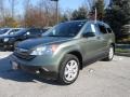 2008 Green Tea Metallic Honda CR-V EX 4WD  photo #2