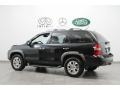 Nighthawk Black Pearl - MDX Touring Photo No. 5
