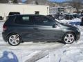 2010 United Gray Metallic Volkswagen GTI 2 Door  photo #9