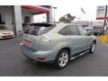 2007 Bamboo Green Pearl Lexus RX 350  photo #7