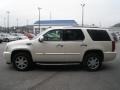 White Diamond - Escalade  Photo No. 13