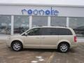 2010 White Gold Chrysler Town & Country Limited  photo #38