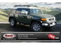 2013 Army Green Toyota FJ Cruiser 4WD  photo #1