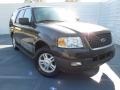 Estate Green Metallic 2005 Ford Expedition XLT