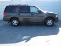 2005 Estate Green Metallic Ford Expedition XLT  photo #2