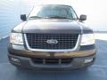 2005 Estate Green Metallic Ford Expedition XLT  photo #7