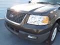 2005 Estate Green Metallic Ford Expedition XLT  photo #9