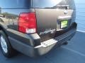 2005 Estate Green Metallic Ford Expedition XLT  photo #17