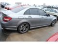 Palladium Silver Metallic 2009 Mercedes-Benz C 63 AMG Exterior