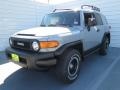 2013 Trail Teams Cement Gray Toyota FJ Cruiser Trail Teams Special Edition 4WD  photo #6