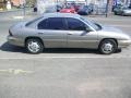 Pewter Metallic - Lumina LS Photo No. 4