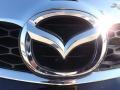 Brilliant Black - CX-9 Touring Photo No. 22