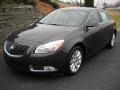 Smoky Gray Metallic 2012 Buick Regal Standard Regal Model Exterior