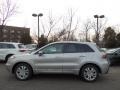 Palladium Silver Metallic - RDX SH-AWD Technology Photo No. 4