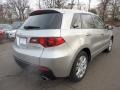 Palladium Silver Metallic - RDX SH-AWD Technology Photo No. 25