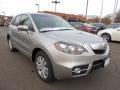 Palladium Silver Metallic - RDX SH-AWD Technology Photo No. 34