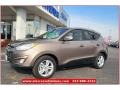 2013 Chai Bronze Hyundai Tucson GLS  photo #1