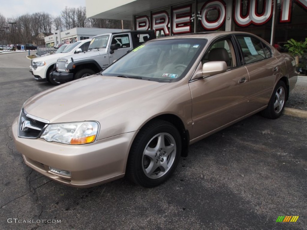 Naples Gold Metallic 2002 Acura TL 3.2 Exterior Photo #75464753