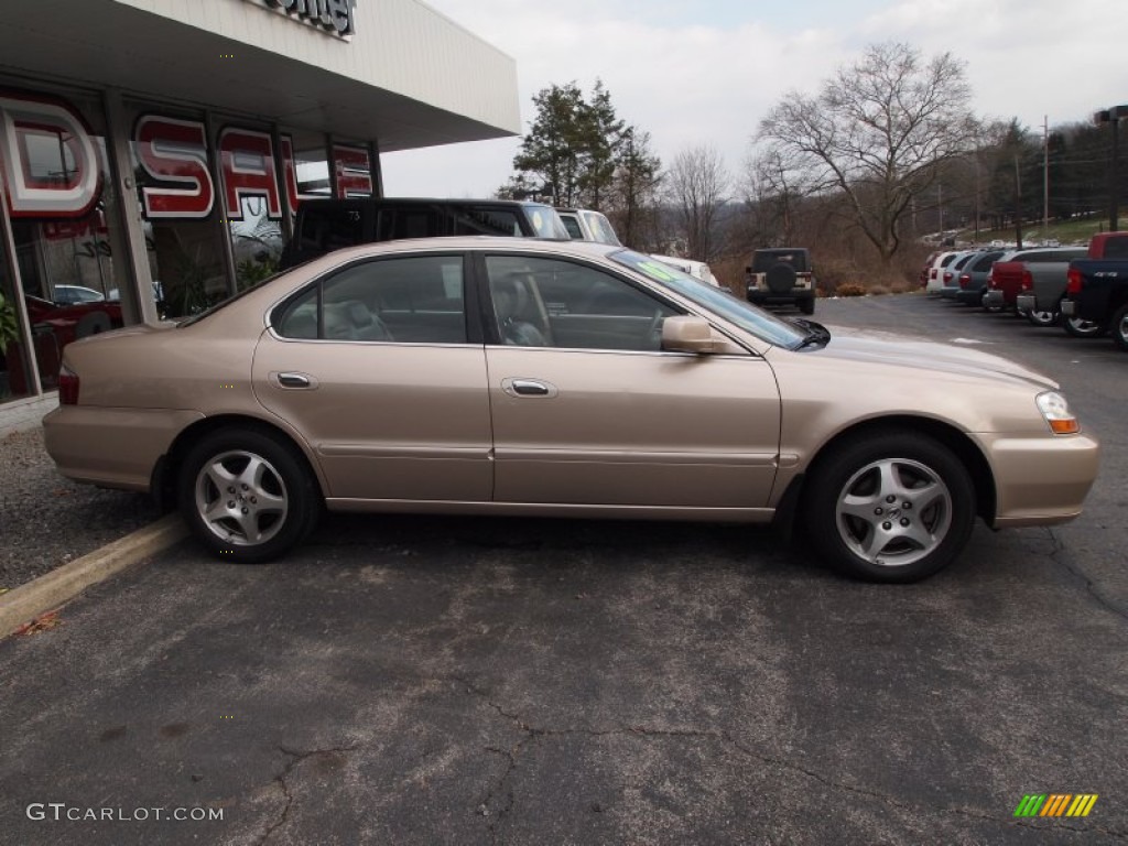 Naples Gold Metallic 2002 Acura TL 3.2 Exterior Photo #75464797