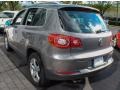 Alpine Grey Metallic - Tiguan SE 4Motion Photo No. 3