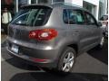 Alpine Grey Metallic - Tiguan SE 4Motion Photo No. 4
