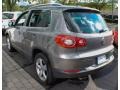 Alpine Grey Metallic - Tiguan SE 4Motion Photo No. 5