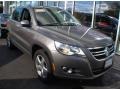 Alpine Grey Metallic - Tiguan SE 4Motion Photo No. 6