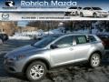 Liquid Silver Metallic - CX-9 Touring AWD Photo No. 1
