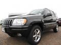 2003 Brilliant Black Jeep Grand Cherokee Limited 4x4  photo #9