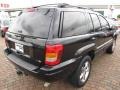 2003 Brilliant Black Jeep Grand Cherokee Limited 4x4  photo #13