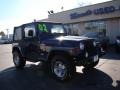 2002 Patriot Blue Pearl Jeep Wrangler Sport 4x4  photo #2