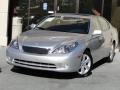 Classic Silver Metallic - ES 330 Photo No. 1