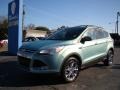 2013 Frosted Glass Metallic Ford Escape SEL 1.6L EcoBoost  photo #4