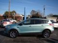 2013 Frosted Glass Metallic Ford Escape SEL 1.6L EcoBoost  photo #5